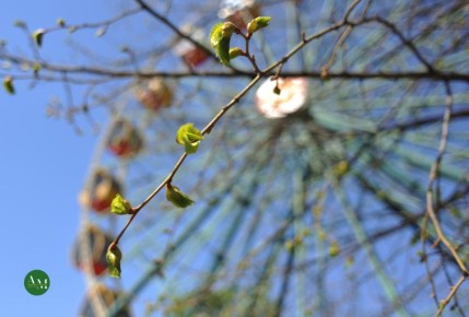 Начало весны в Адыгее: что ждать от погоды?