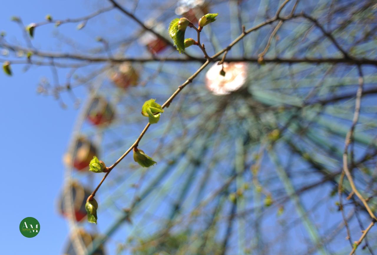 Начало весны в Адыгее: что ждать от погоды?