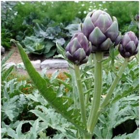 ��� �������� ������: ��������, ������� ������ ��� � �������