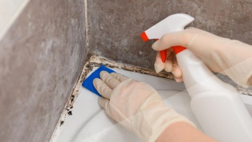 Как быстро и эффективно избавиться от плесени в ванной комнате