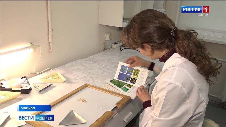 Адыгея готовится к предстоящему севу яровых культур