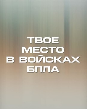 Управляй небом — побеждай на земле!