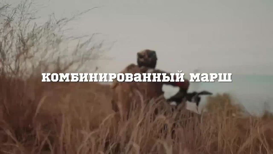 23 февраля, в День защитника отечества, Движение Первых запустило третий сезон Всероссийской военно-патриотической игры «Зарница 2.0»