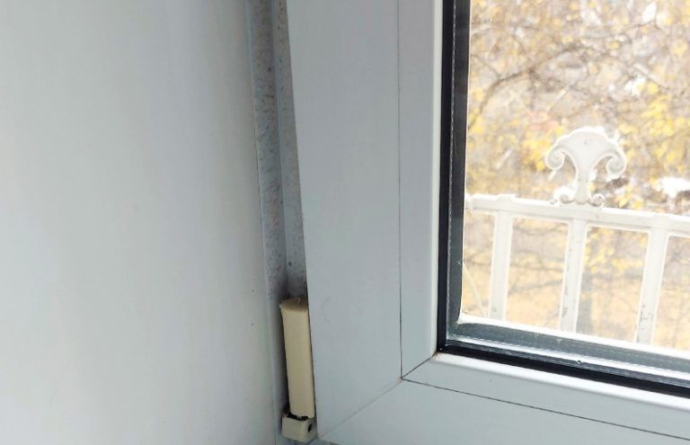 Как победить плесень: 11 эффективных методов