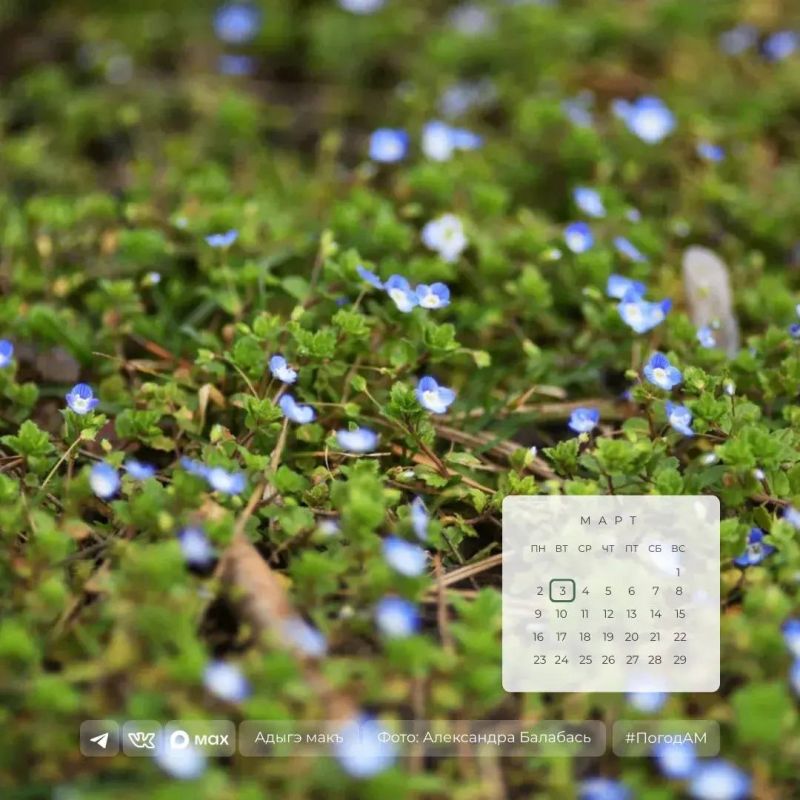 Доброе утро!. 3 марта в Адыгее переменная облачность, местами дождь