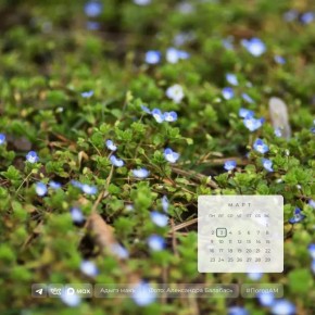 Доброе утро!. 3 марта в Адыгее переменная облачность, местами дождь