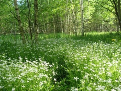 ��� �������� �������� ��������� � ����������� � ��������� �������� ������ �������