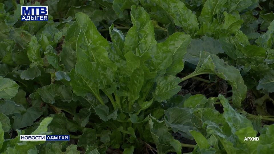 ������ � ������� ������� �������� ������� ��������� ��������� ������ ������ ���