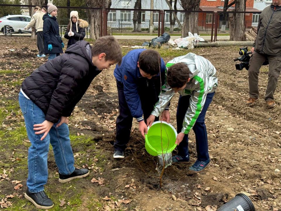 Школьники Майкопа высадили деревья в честь женщин-участниц СВО