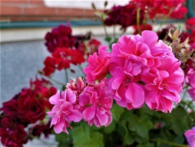 �������, �� ������� ������ �� ���������� �����