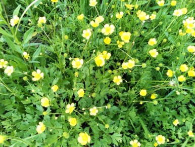 ����������� ������ ������ �� ��������� �� ����� ������