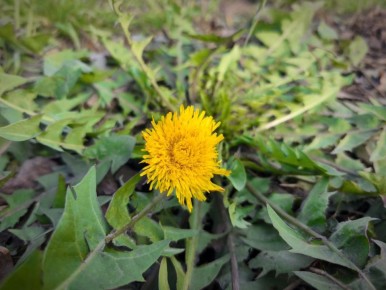 5 марта в Адыгее пасмурно, небольшой дождь