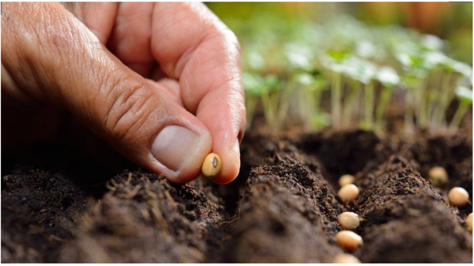 ����������� ����� ������ ����� ��� ��������� ������