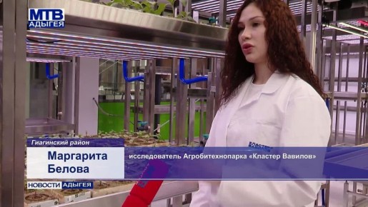 � ������ ��������� � �������� ���������������� �������� �������