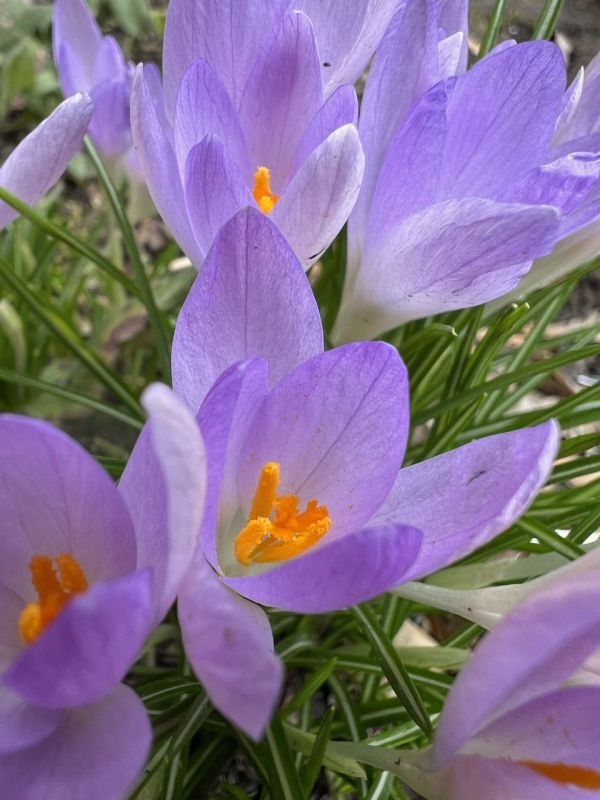 6 марта в Адыгее возможен дождь