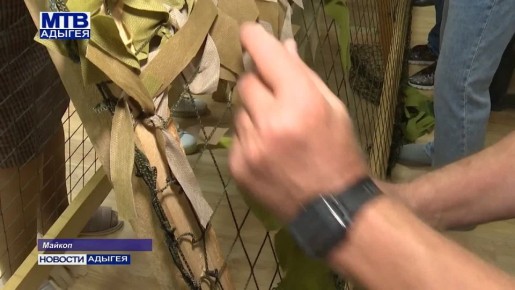 ����� 10 ���� ��������� ��� ������������ ������������� ����� �������� ����������� ������������ ���������������� ������ ������