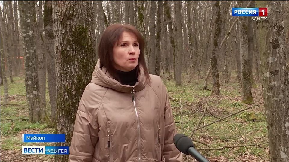 В лесах Адыгеи проснулись предвестники скорого тепла