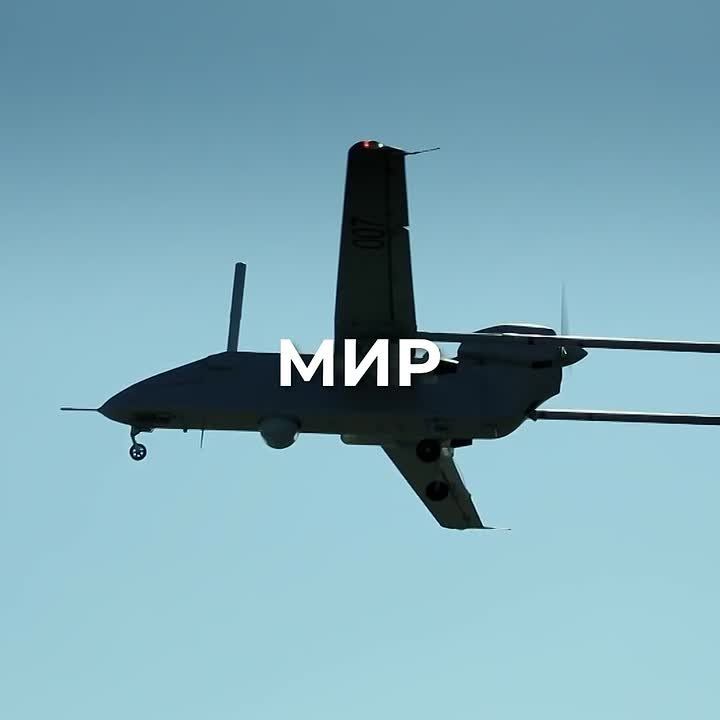 Сегодня защита Родины - это гонка интеллекта и реакций