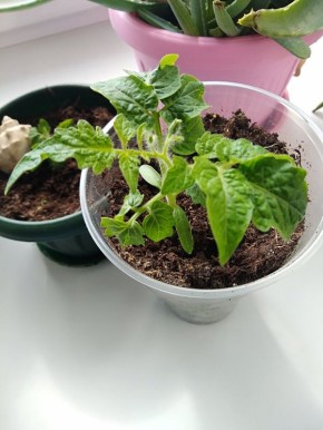 ��� ��������� ������������� ������� ��� ��������� �����