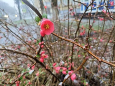 ������ � ������� �� 6 �����: