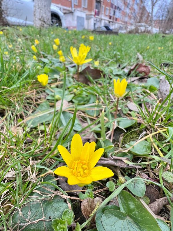 7 марта в Адыгее пасмурно. Температура воздуха в равнинной части 0… +3 °C. Ветер 0-4м/с