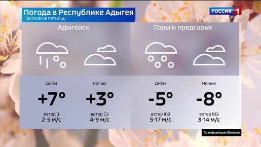 ������� ������ �� 6 �����