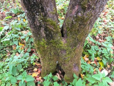 ������ ������ � ���������� � ���� �� �������� �������� ������