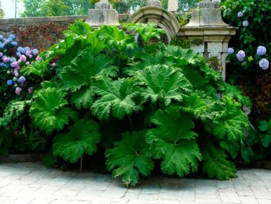 �������� � �������� ��������: ��������� ����� ��� ������ ����