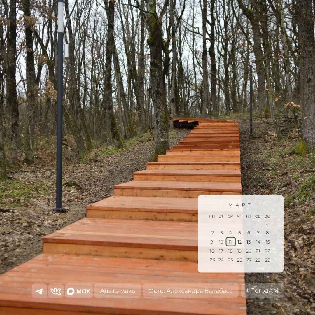 Доброе утро!. 11 марта в Адыгее ожидается солнечная погода