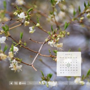 Доброе утро!. 12 марта в Адыгее ожидается солнечная погода