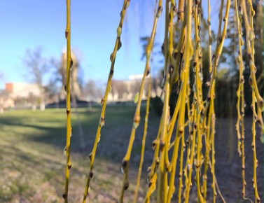 13 ����� � ������ ����. ����������� ������� � ��������� ����� +5� +12 �C. ����� 7-10 �/�