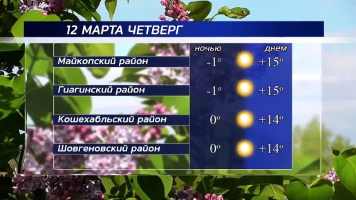 ������ ����!. ������ � ���������� �������, 12 �����