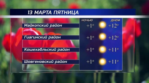 ������ ����!. ������ � ���������� �������, 13 �����