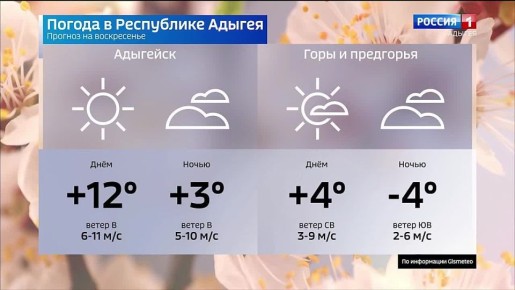 ������� ������ �� 15 �����