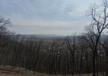 Погода в Майкопе на 16 марта: