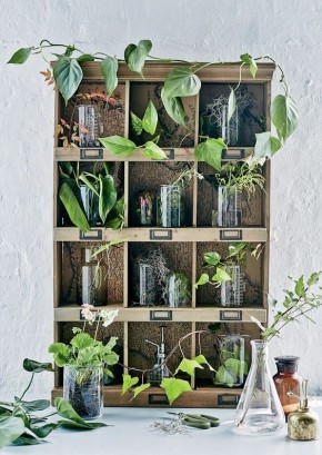 ��������, ������� ����� ������ � ����: ���-10 ��� ������ ����