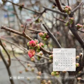 Доброе утро!. 15 марта в Адыгее переменная облачность, местами ожидаются дожди