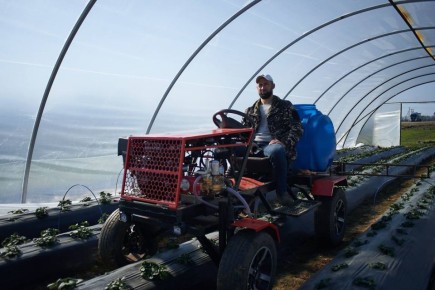 ����� ���������� ��������� � ������� ����� �� 3 ��� ������