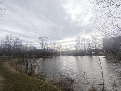 ������ � ������� �� 17 �����: