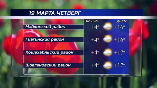 ������ ����!. ������ � ���������� �������, 19 �����