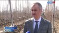Председатель Государственного Совета-Хасэ РА Владимир Нарожный, его заместитель Эдуард Цеев и министр сельского хозяйства республики Анзаур Куанов проверили ход реализации второго этапа закладки яблоневого сада на территории...
