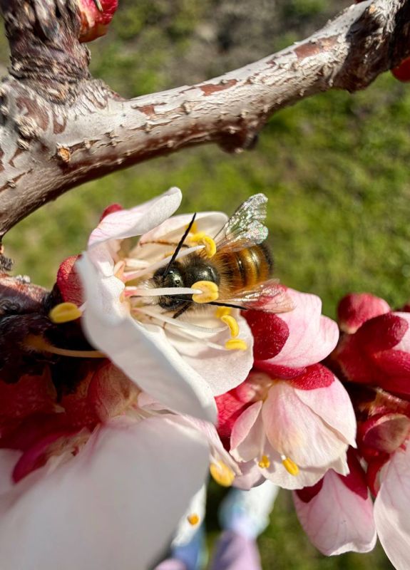 23 ����� � ������ ��������