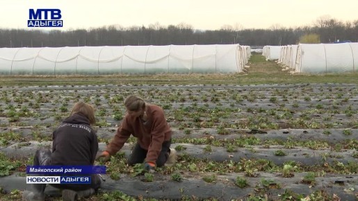 � ���������� �������� � �� ����� ���� �������� ��������� ������� ��������������