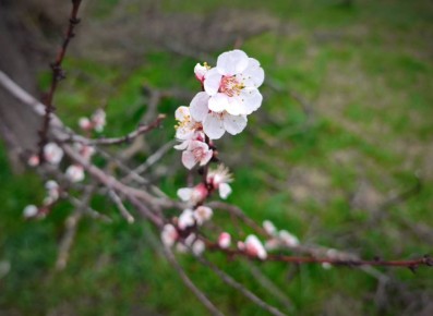 24 ����� � ������ �������, �������� ��������� �����