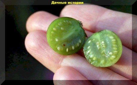 ��������� �� �����: � ��� �������� ��� ��������?