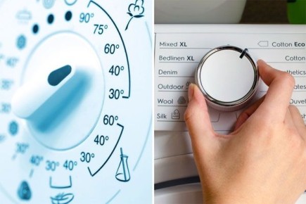 ��� ����������� ���� ������ �� ���� ������