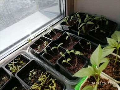 �� ������ �� ��������� ������� � ����� �����?