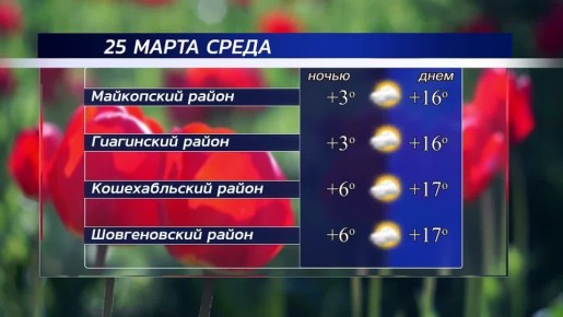 ������ ����!. ������ � ���������� �������, 25 �����