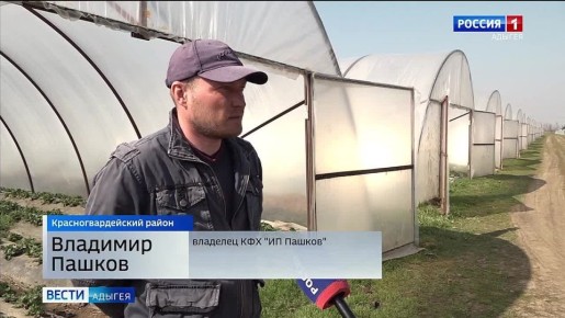 �������� ������� ������ �������� � �����������-���������� ��������� ��������� ������� �� ������������������ ������