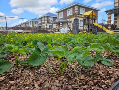 ������� ������ �� ����: ��� ���������� �� ������